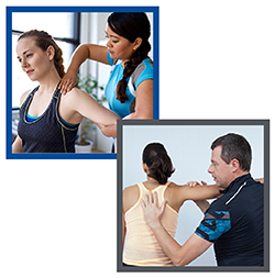 Physiotherapists
